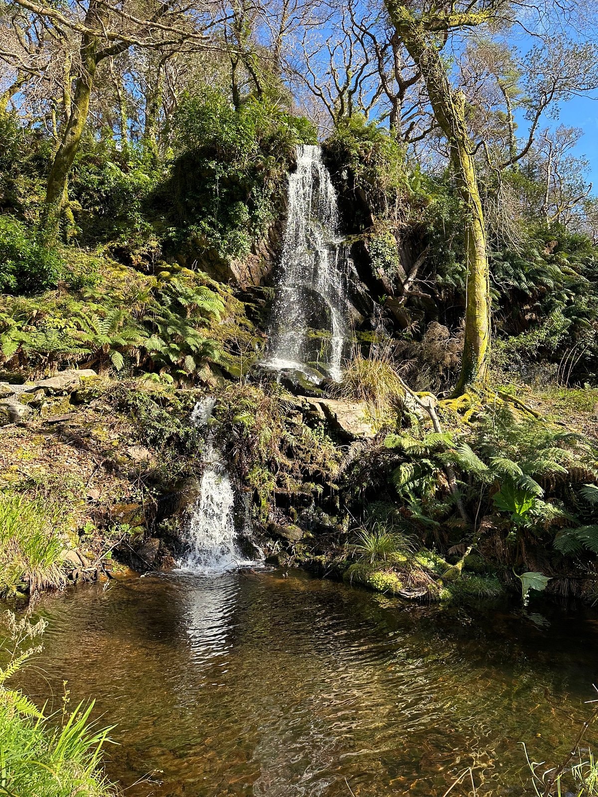 Kells Bay Gardens
