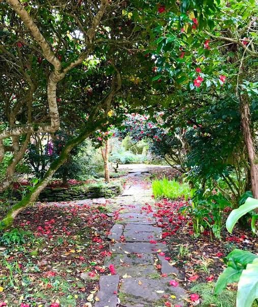 Inside Kells Bay Gardens