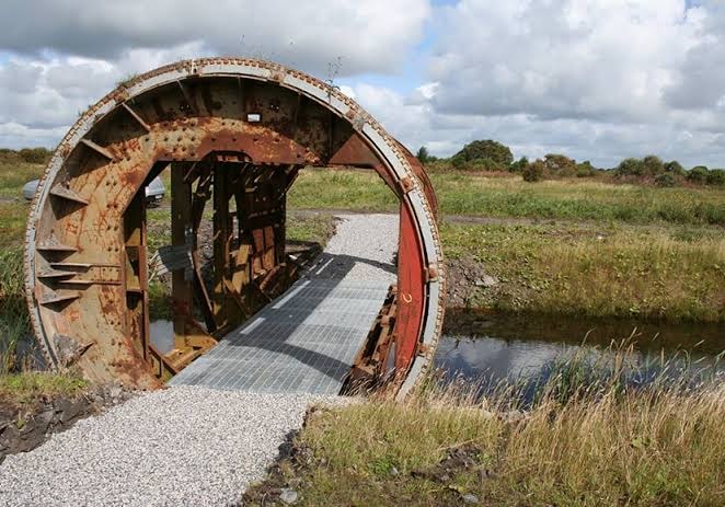 Inside Lough Boora Discovery Park