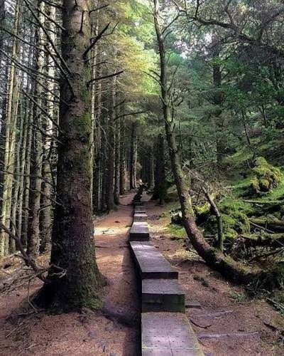Inside Queen Maeve Trail